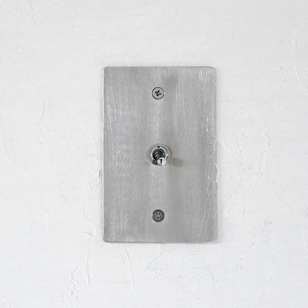 STAINLESS PLATE SWITCH