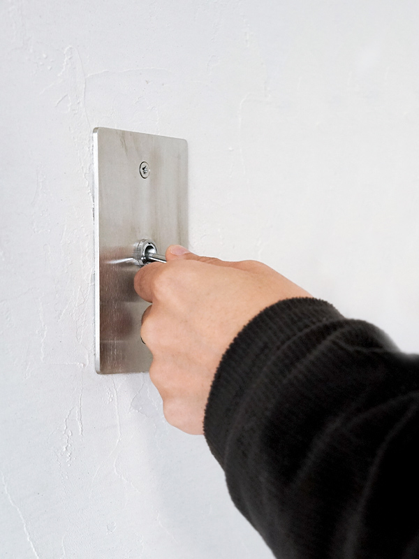 STAINLESS PLATE SWITCH