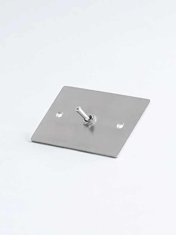 STAINLESS PLATE SWITCH