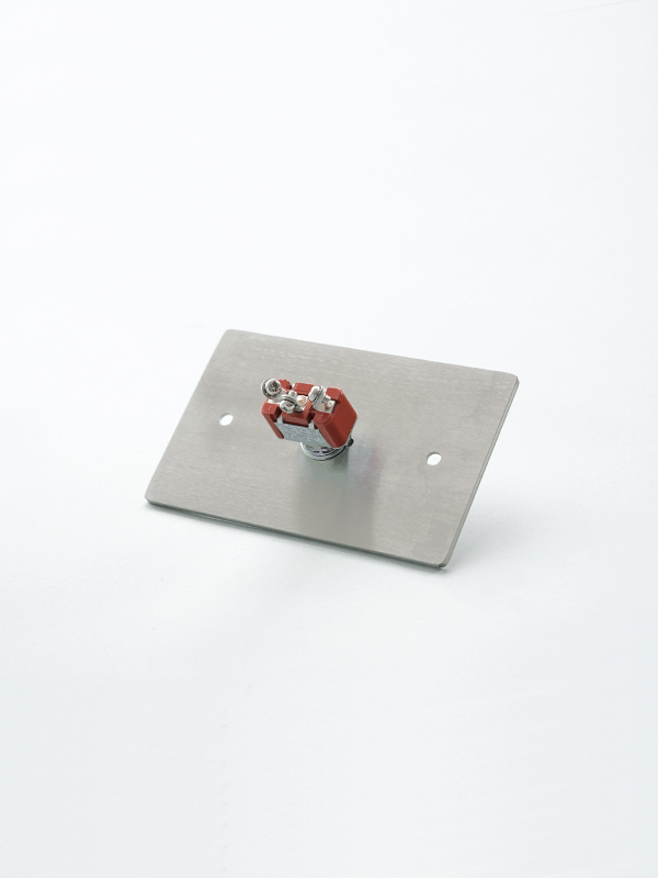 STAINLESS PLATE SWITCH