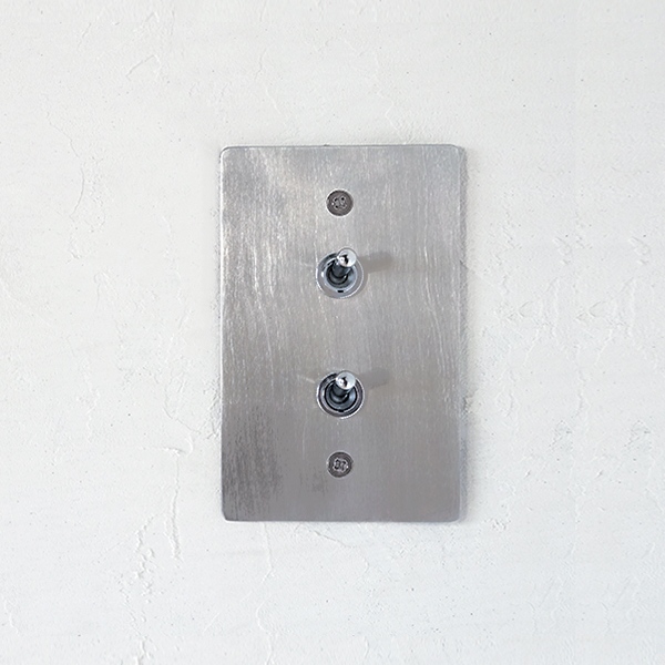 STAINLESS PLATE 2 SWITCHES