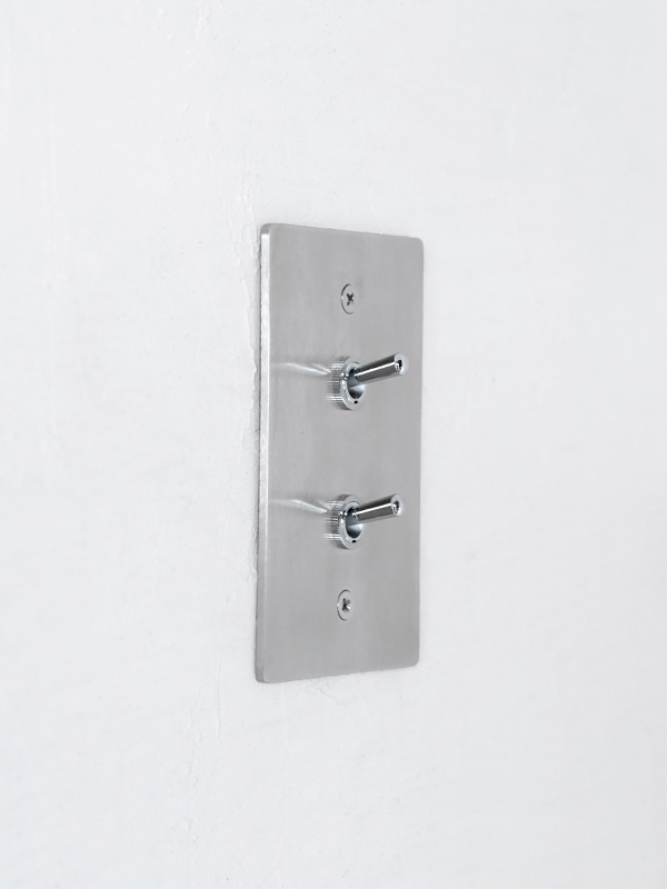 STAINLESS PLATE 2 SWITCHES