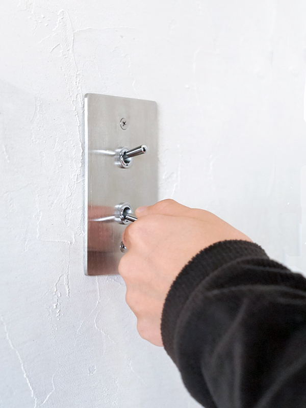 STAINLESS PLATE 2 SWITCHES