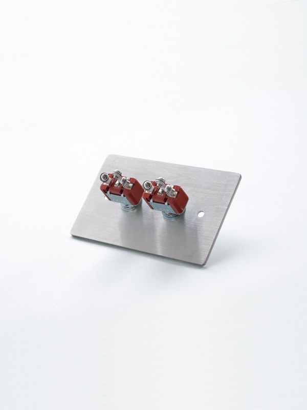 STAINLESS PLATE 2 SWITCHES